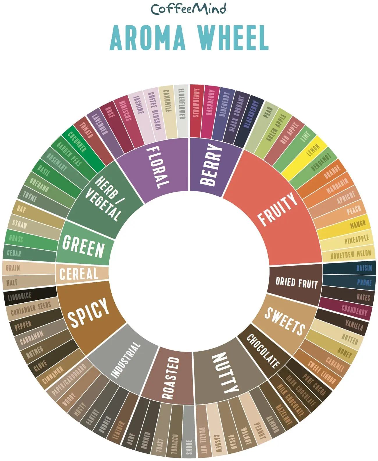 What is Coffee Aroma? Descriptors and Sensory Impact in Specialty